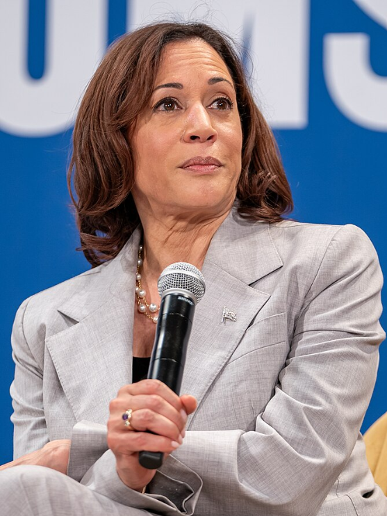 Kamala Harris's Own Former Staffers Don't Think She's Running in 2028 — And the Polling Explains Why